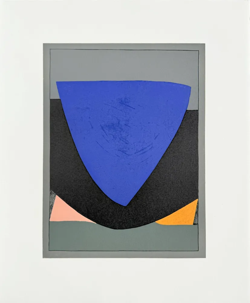 Lithografie Vasarely - Tecoma