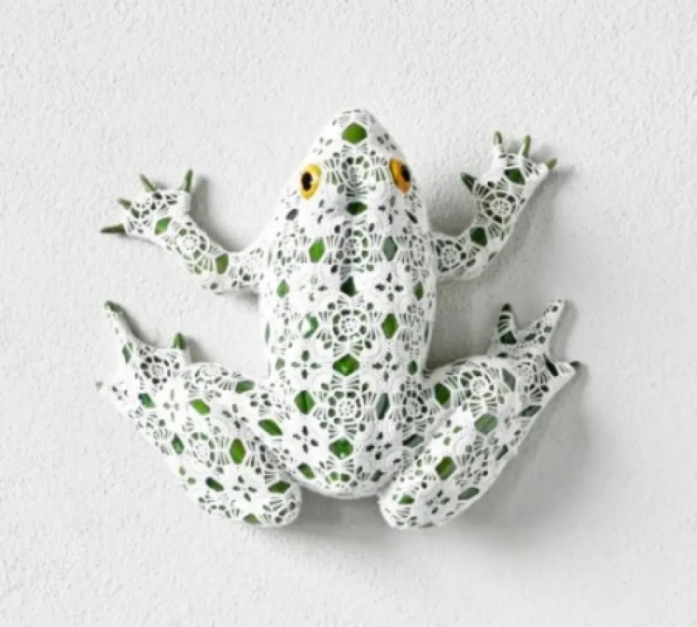 Geen Techniek Vasconcelos - Neblina