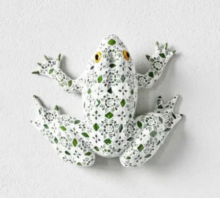 Geen Techniek Vasconcelos - Neblina