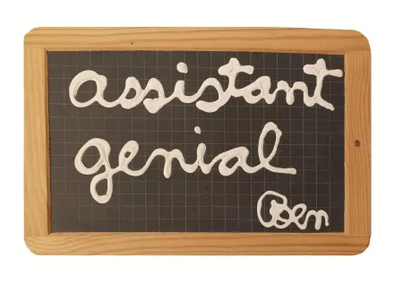 Geen Techniek Vautier - '' assistant génial ''