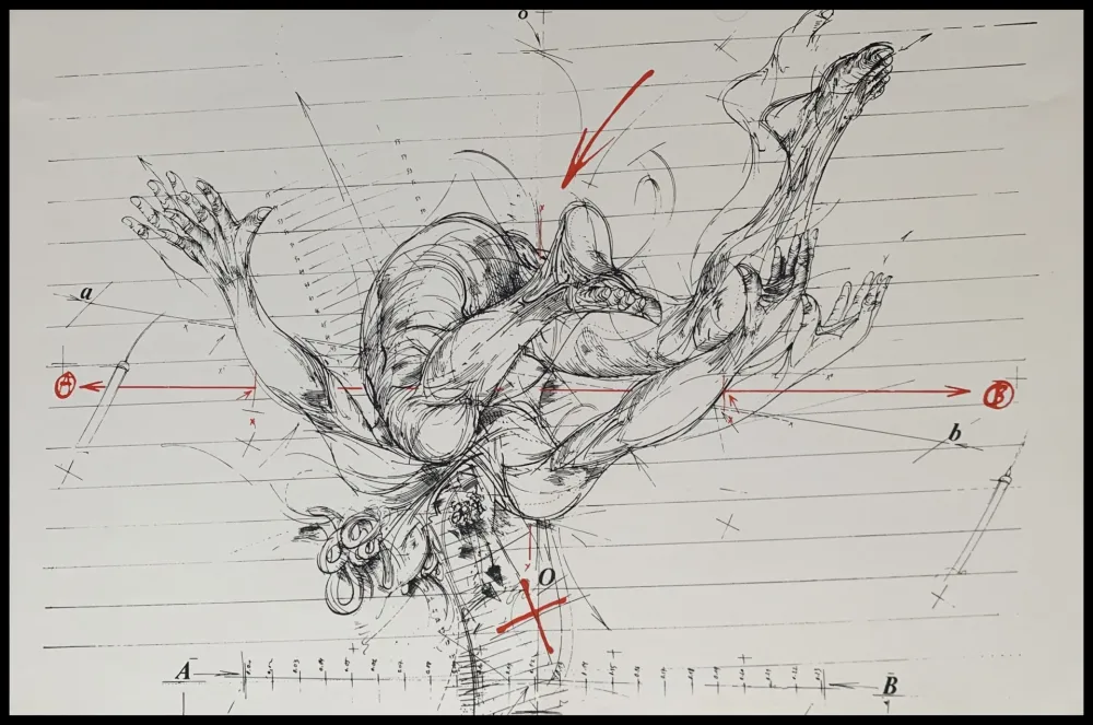 Zeefdruk Velickovic - La chute