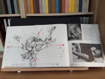 Geïllustreerd Boek Velickovic - No 44