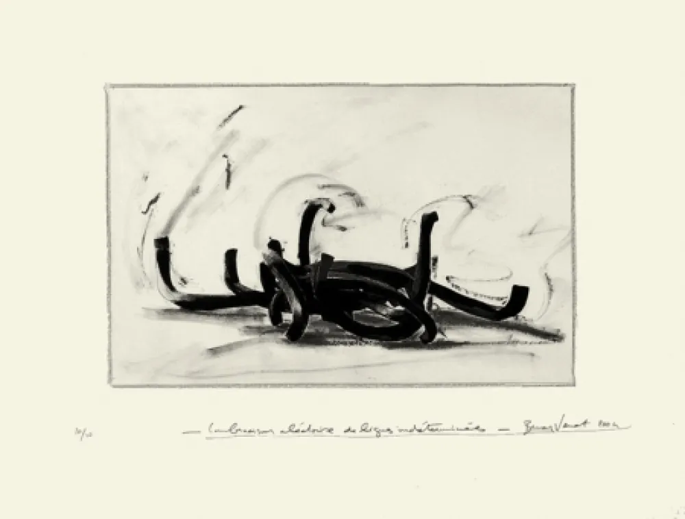 Lithografie Venet - Combinaison aléatoire de lignes indéterminées 9N