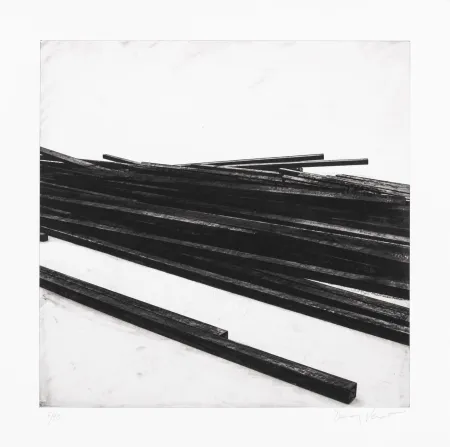 Zeefdruk Venet - Lignes droites / désordre 01