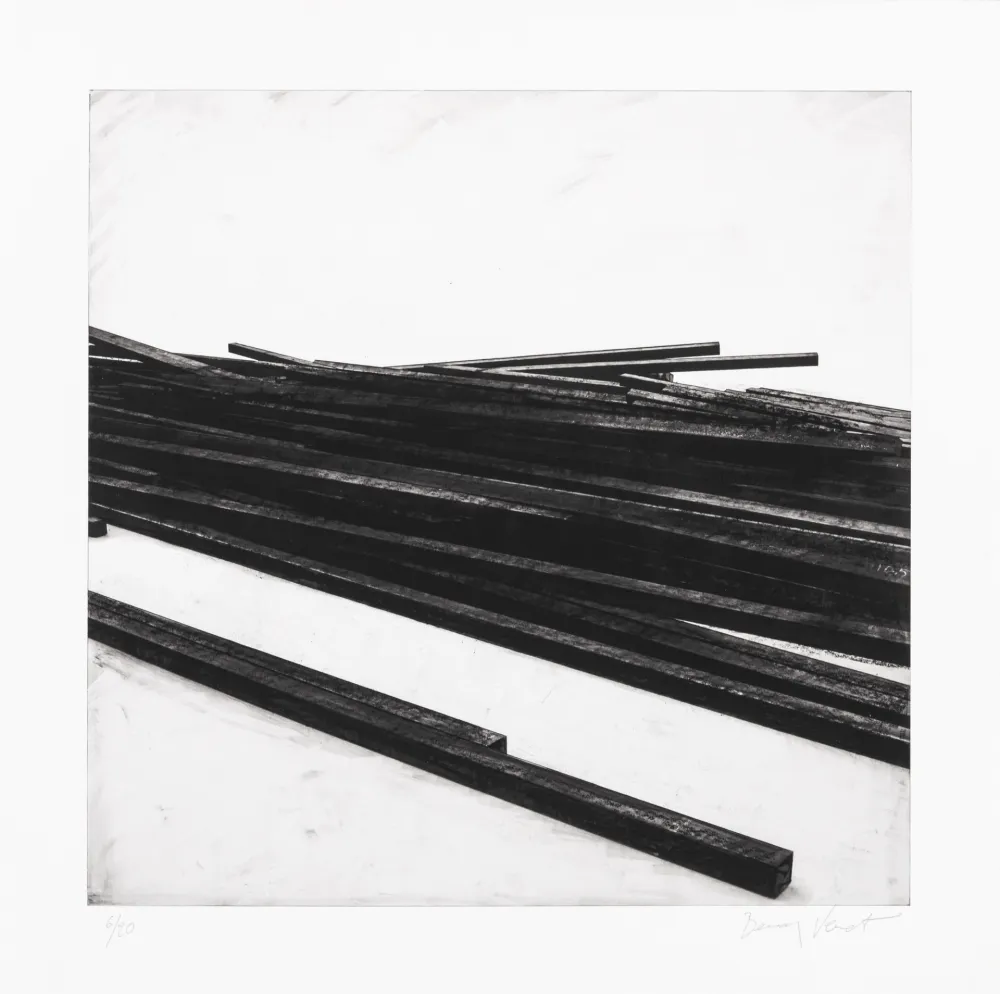 Zeefdruk Venet - Lignes droites / désordre 01