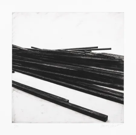 Zeefdruk Venet - Lignes droites / désordre 01