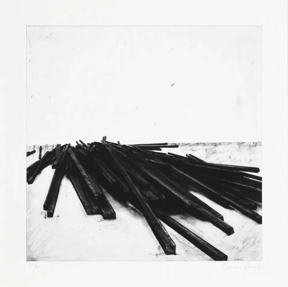 Zeefdruk Venet - Lignes droites / désordre 02
