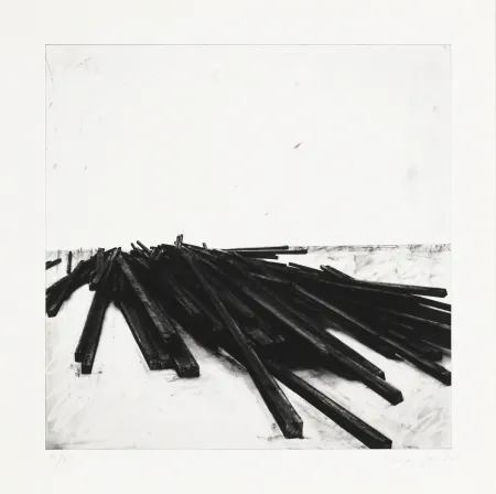 Zeefdruk Venet - Lignes droites / désordre 02