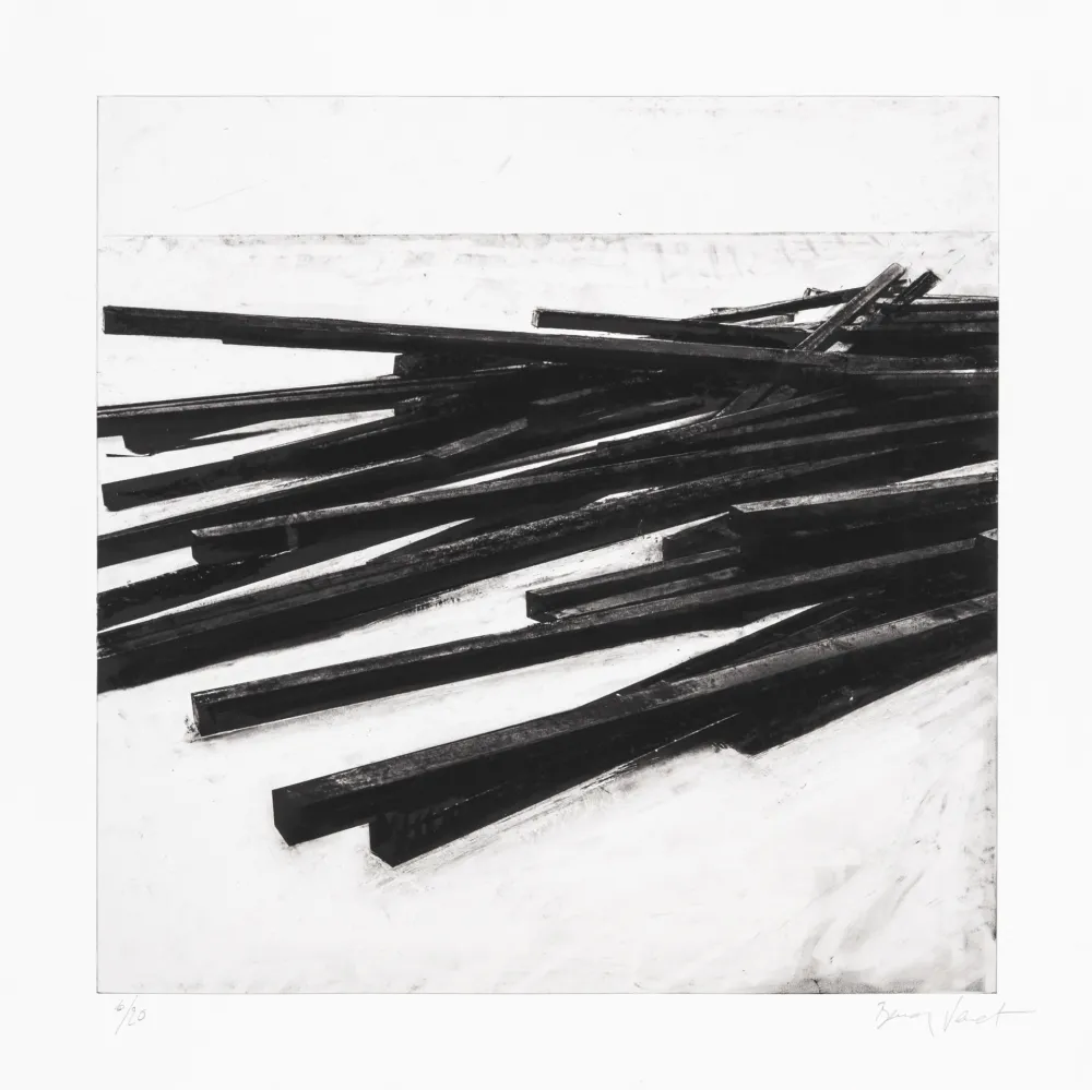 Zeefdruk Venet - Lignes droites / désordre 03