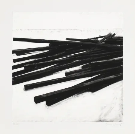 Zeefdruk Venet - Lignes droites / désordre 03