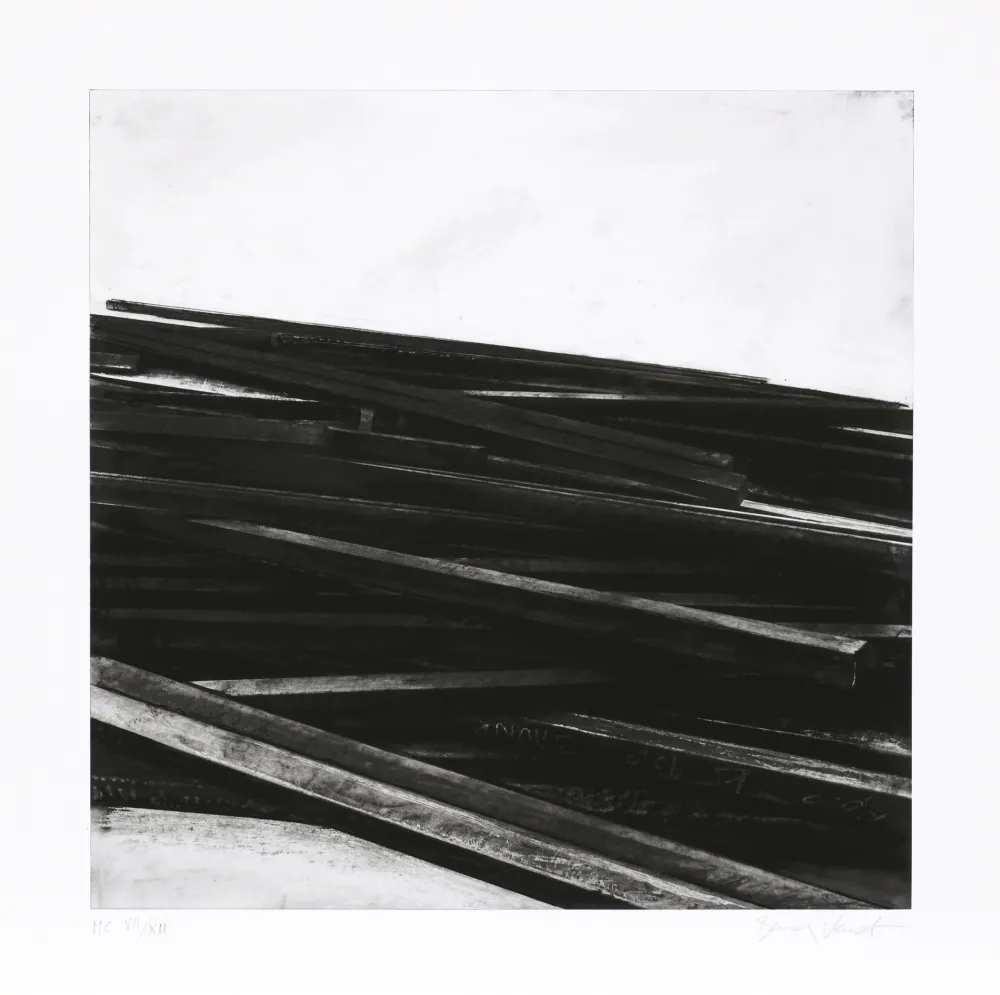 Zeefdruk Venet - Lignes droites / désordre 04