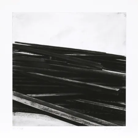 Zeefdruk Venet - Lignes droites / désordre 04