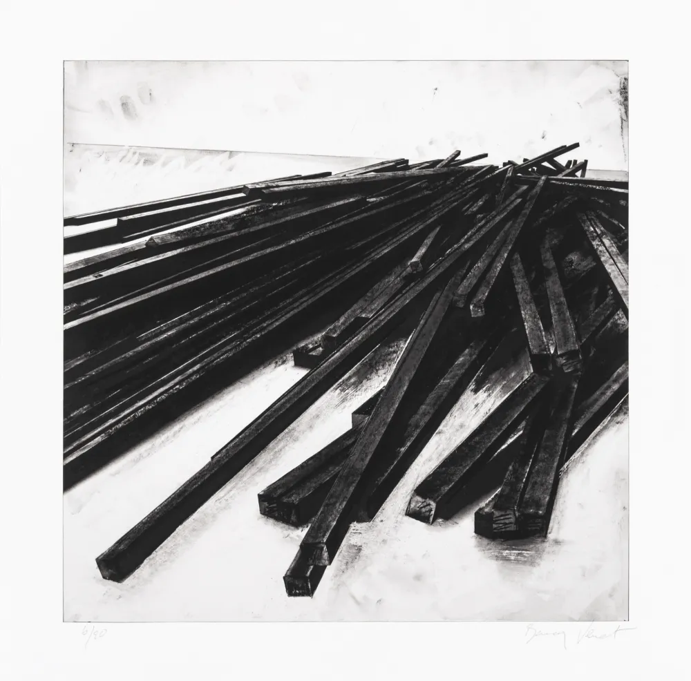 Zeefdruk Venet - Lignes droites / désordre 05