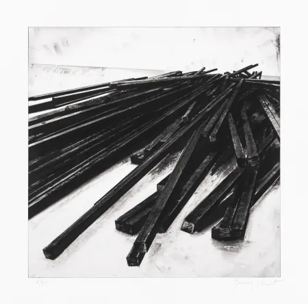 Zeefdruk Venet - Lignes droites / désordre 05