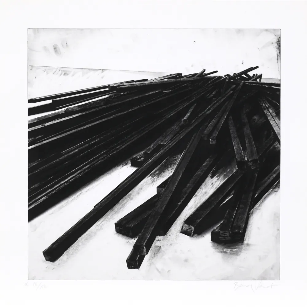 Zeefdruk Venet - Lignes droites / désordre 05