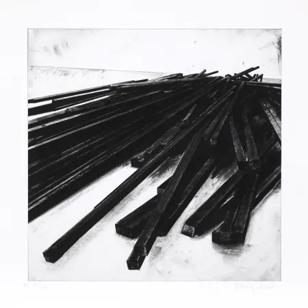 Zeefdruk Venet - Lignes droites / désordre 05