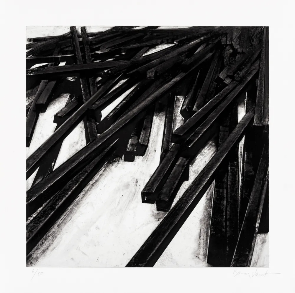 Zeefdruk Venet - Lignes droites / désordre 06