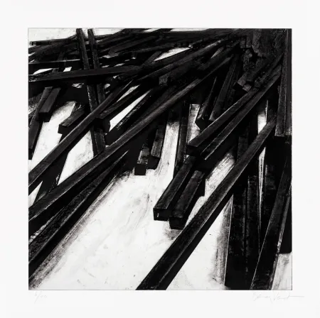 Zeefdruk Venet - Lignes droites / désordre 06