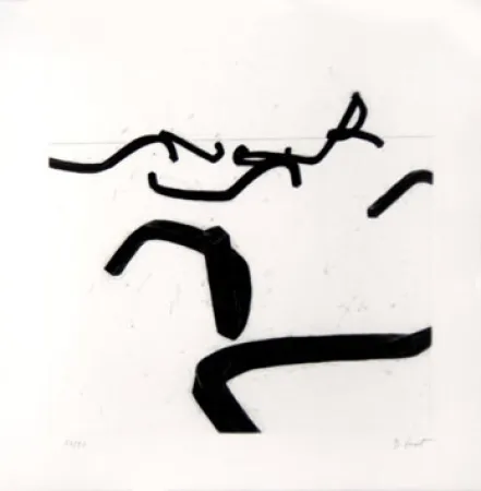 Gravure Venet - LIGNES INDETERMINEES
