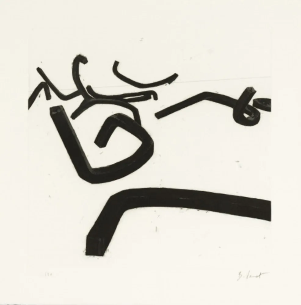 Ets En Aquatint Venet - Random Combination of Indeterminate Lines II, c