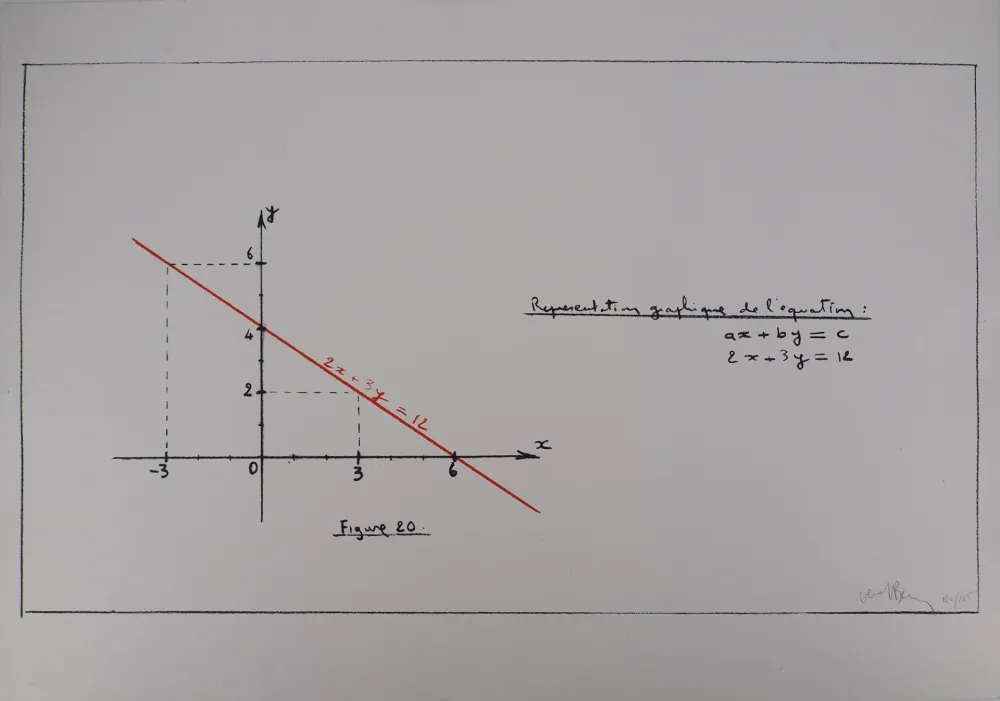 Zeefdruk Venet - Représentation de l'équation