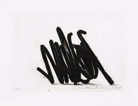 Ets Venet - Two indeterminate lines 02