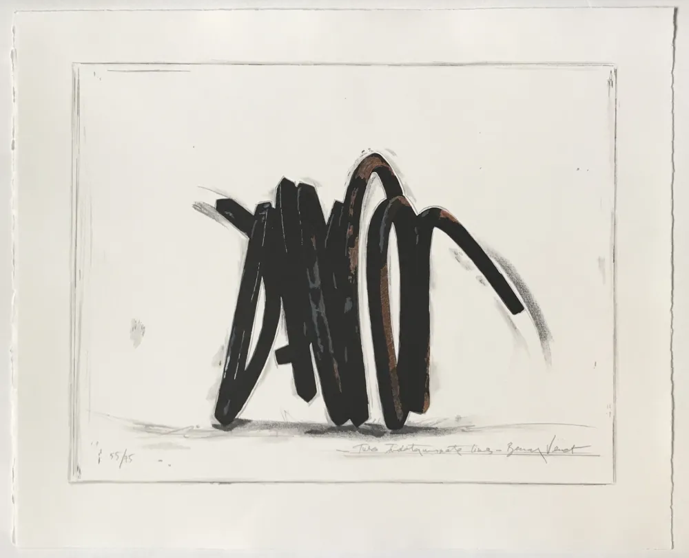 Lithografie Venet - Two Indeterminate Lines