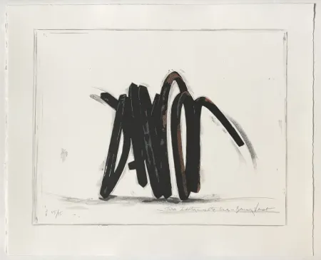 Lithografie Venet - Two Indeterminate Lines