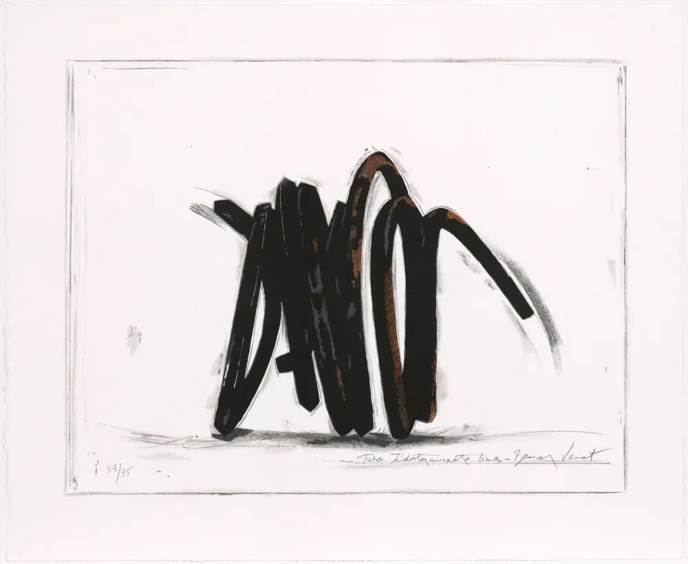 Zeefdruk Venet - Two indeterminate lines