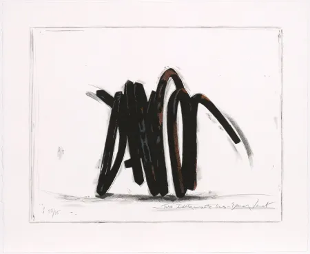 Zeefdruk Venet - Two indeterminate lines