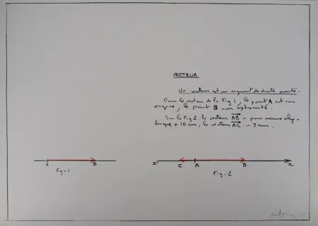 Zeefdruk Venet - Un Vecteur