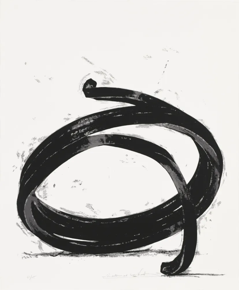 Zeefdruk Venet - Undetermined Line 02