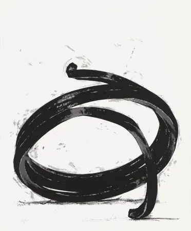 Zeefdruk Venet - Undetermined Line 02