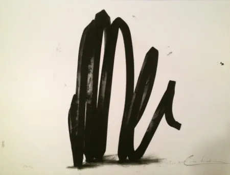 Zeefdruk Venet - Undetermined Line