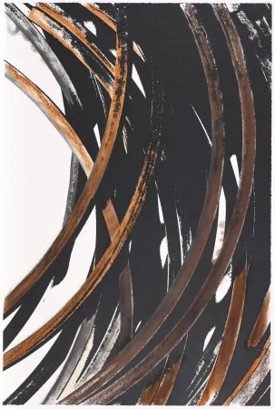 Zeefdruk Venet - Untitled V bis (Arcs)