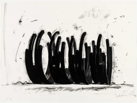 Zeefdruk Venet - Variations on the Arc 03