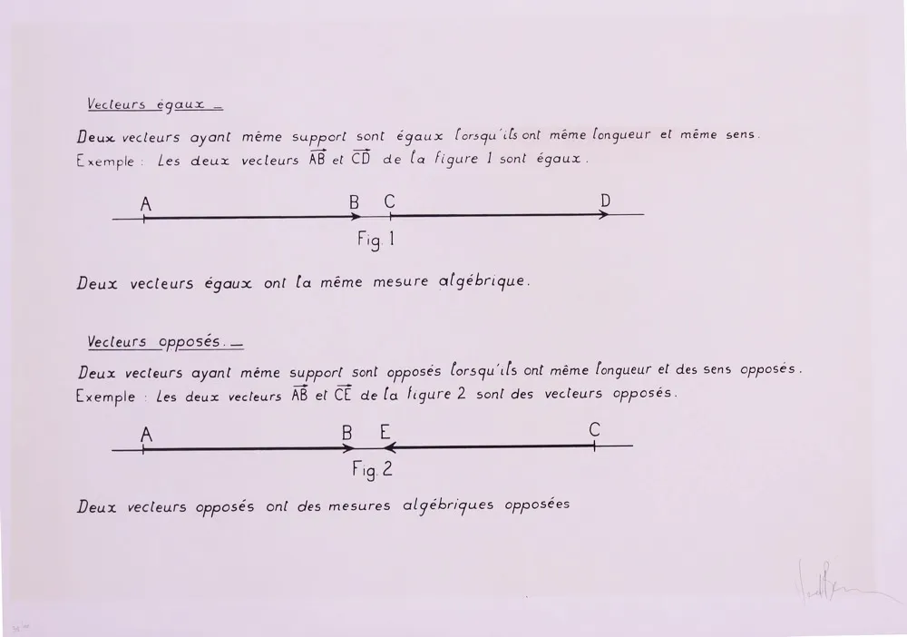 Lithografie Venet - VECTEURS