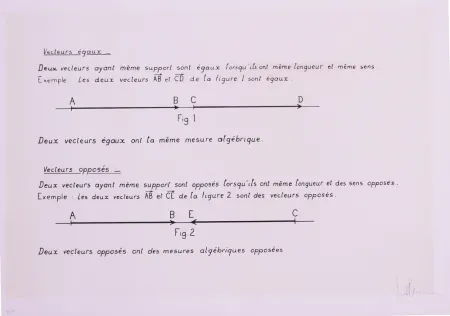 Lithografie Venet - VECTEURS