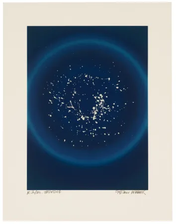 Zeefdruk Verdier - Odtsetseg