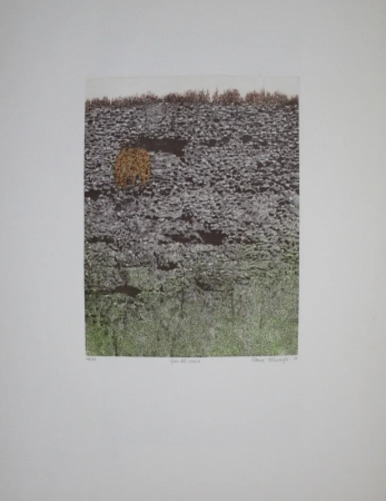 Ets En Aquatint Vernunft - Fiori le mura