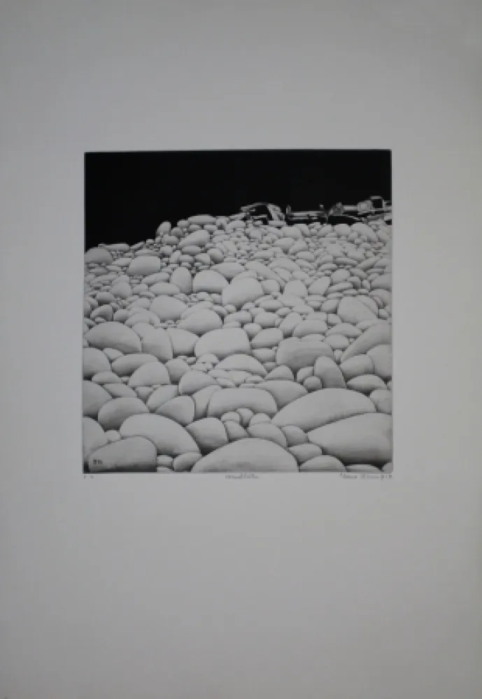 Ets En Aquatint Vernunft - Steinblüten