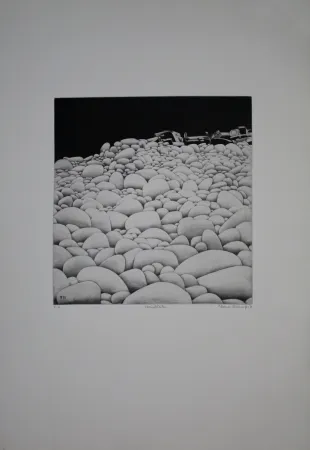 Ets En Aquatint Vernunft - Steinblüten