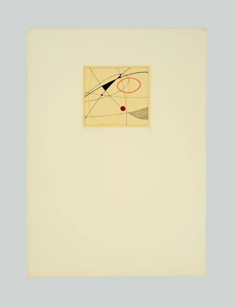 Zeefdruk Veronesi - Composizione