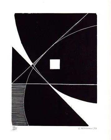 Geïllustreerd Boek Veronesi - Le lucertole blu