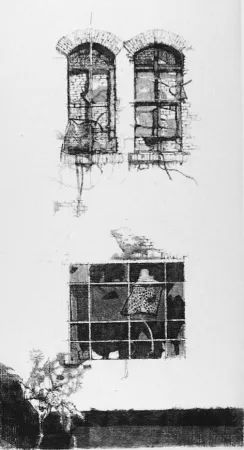 Ets Vespignani - Tre finestre