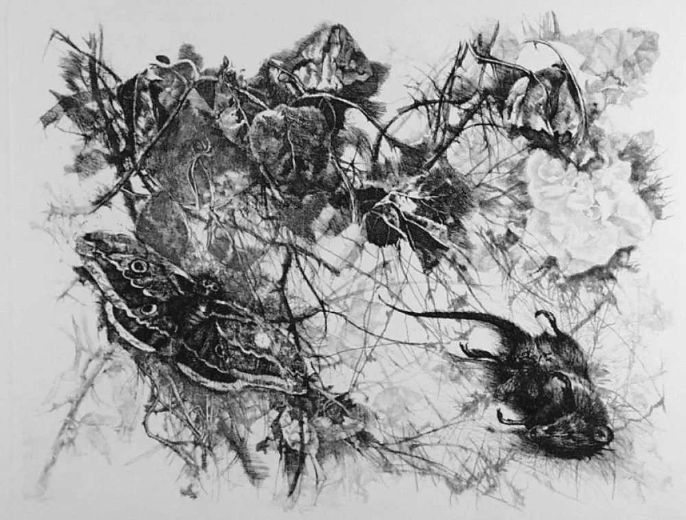 Ets Vespignani - Zibaldone (Per Leopardi)