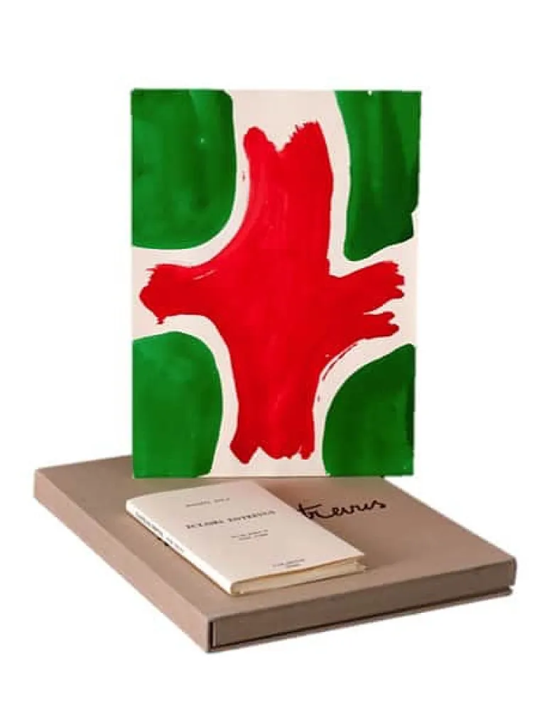 Geïllustreerd Boek Viallat - ECLAIRS ENTREVUS, 1991