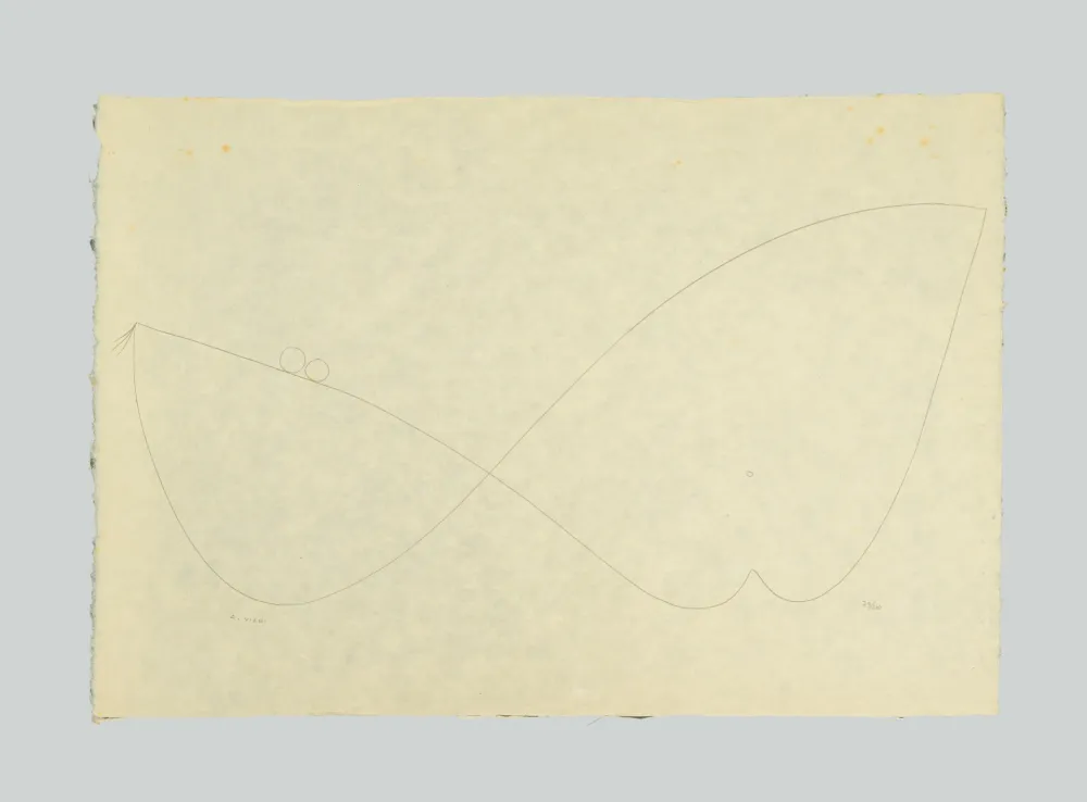 Lithografie Viani - Composizione