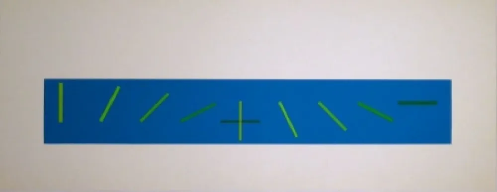 Zeefdruk Vieira - Croisement de directions opposées : 7 condictions de saturation chromatique
