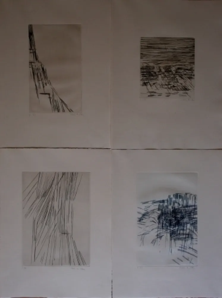 Geïllustreerd Boek Vieira Da Silva - Poésies